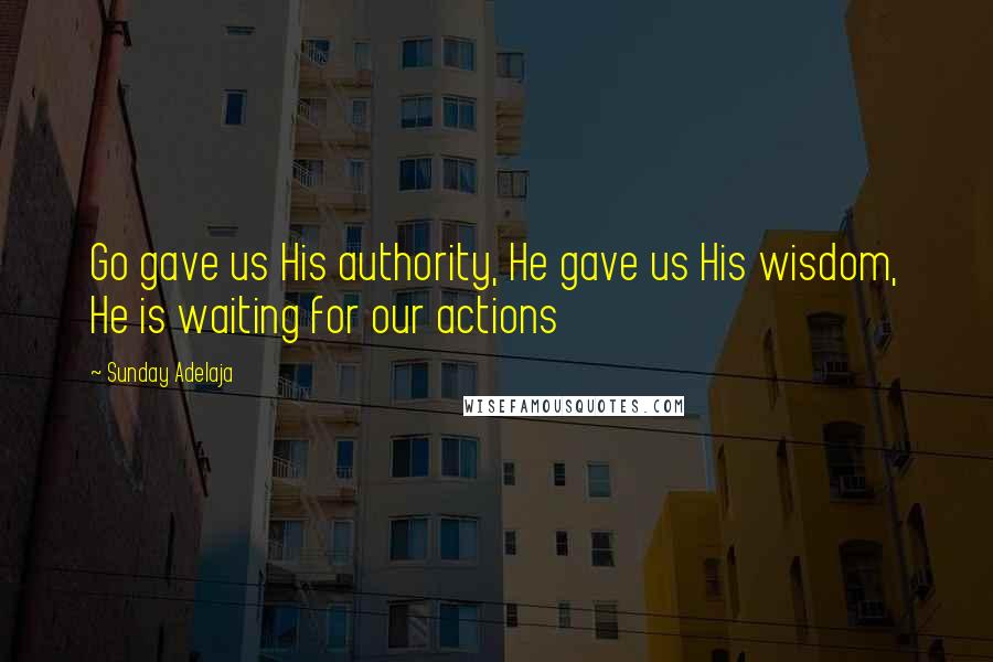 Sunday Adelaja Quotes: Go gave us His authority, He gave us His wisdom, He is waiting for our actions