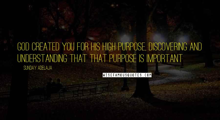 Sunday Adelaja Quotes: God created you for His high purpose, discovering and understanding that that purpose is important