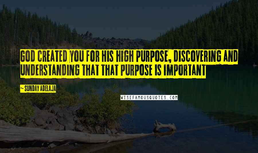 Sunday Adelaja Quotes: God created you for His high purpose, discovering and understanding that that purpose is important