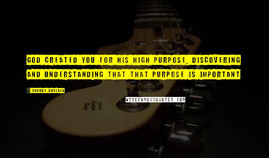 Sunday Adelaja Quotes: God created you for His high purpose, discovering and understanding that that purpose is important