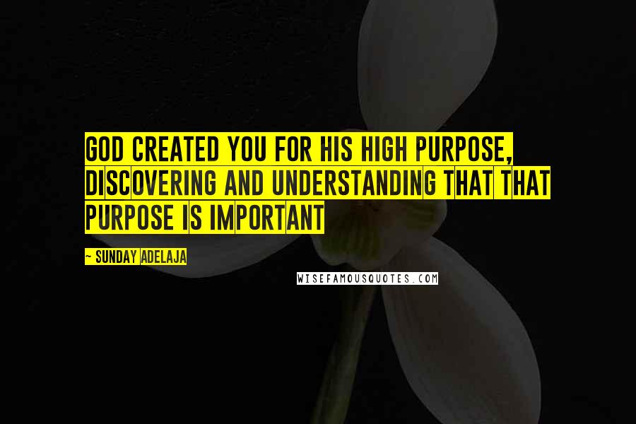 Sunday Adelaja Quotes: God created you for His high purpose, discovering and understanding that that purpose is important
