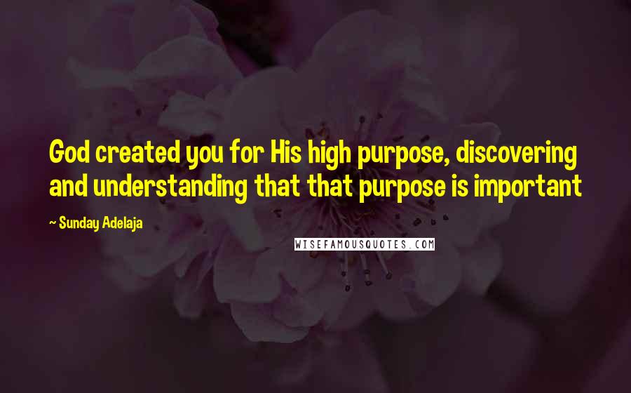 Sunday Adelaja Quotes: God created you for His high purpose, discovering and understanding that that purpose is important