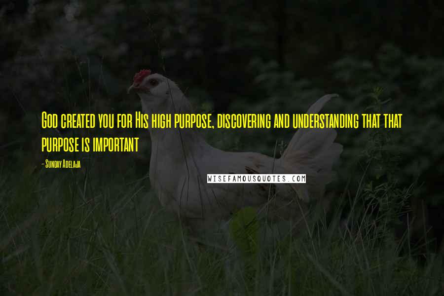 Sunday Adelaja Quotes: God created you for His high purpose, discovering and understanding that that purpose is important
