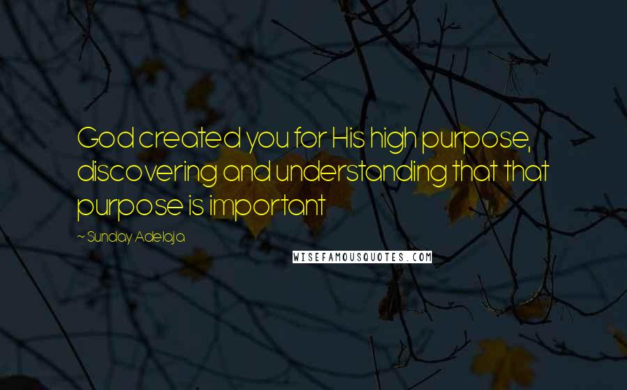 Sunday Adelaja Quotes: God created you for His high purpose, discovering and understanding that that purpose is important