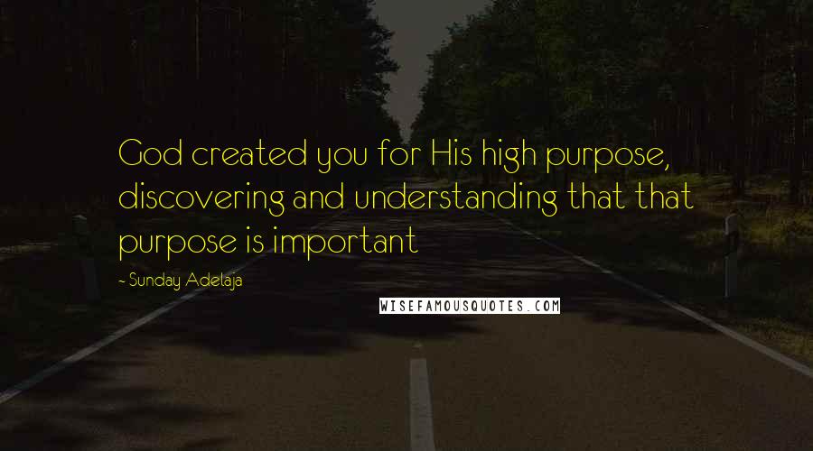 Sunday Adelaja Quotes: God created you for His high purpose, discovering and understanding that that purpose is important