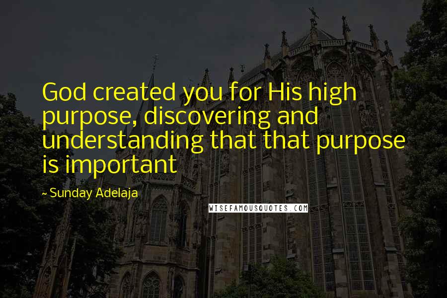 Sunday Adelaja Quotes: God created you for His high purpose, discovering and understanding that that purpose is important