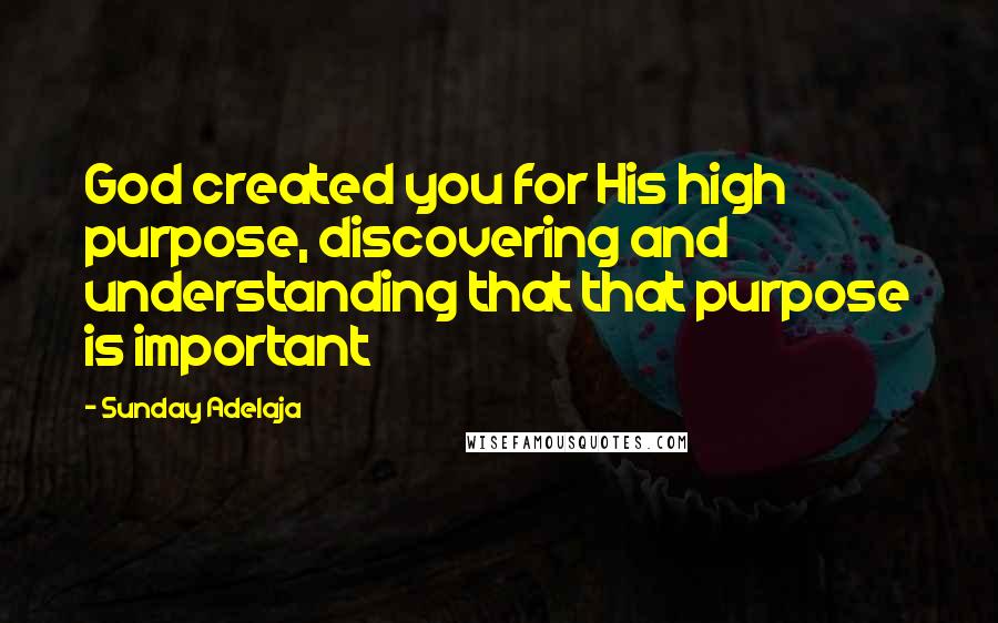 Sunday Adelaja Quotes: God created you for His high purpose, discovering and understanding that that purpose is important