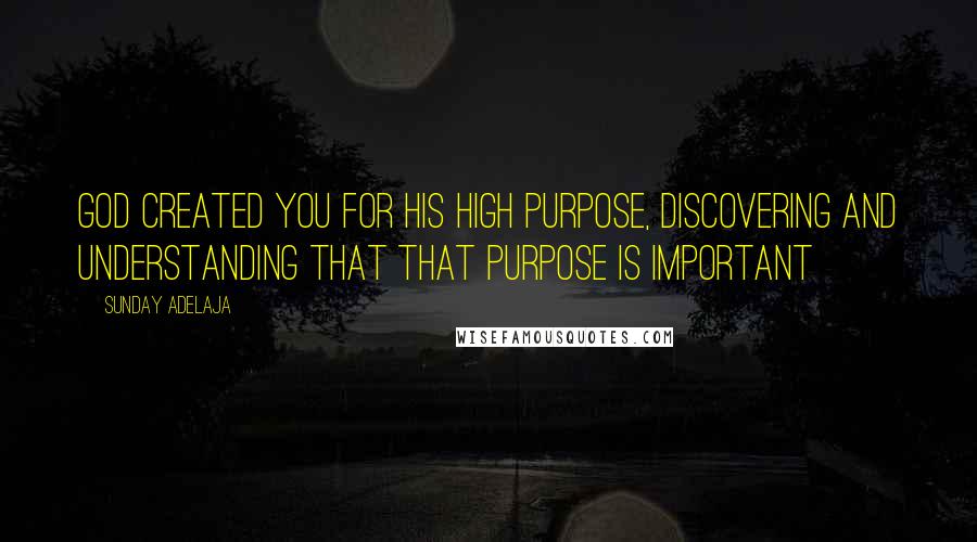 Sunday Adelaja Quotes: God created you for His high purpose, discovering and understanding that that purpose is important
