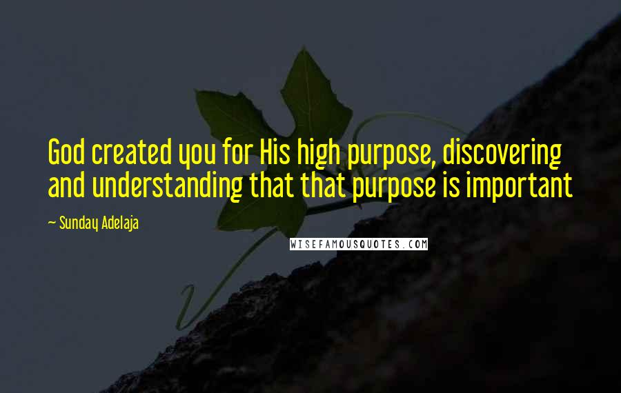Sunday Adelaja Quotes: God created you for His high purpose, discovering and understanding that that purpose is important