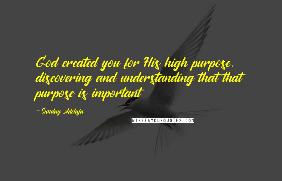 Sunday Adelaja Quotes: God created you for His high purpose, discovering and understanding that that purpose is important