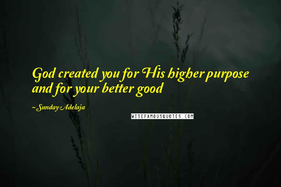 Sunday Adelaja Quotes: God created you for His higher purpose and for your better good