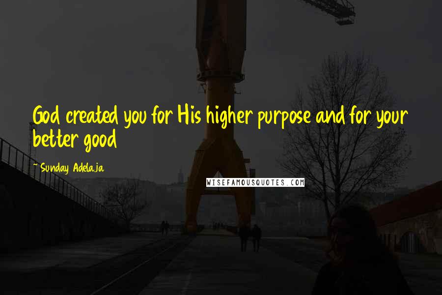 Sunday Adelaja Quotes: God created you for His higher purpose and for your better good