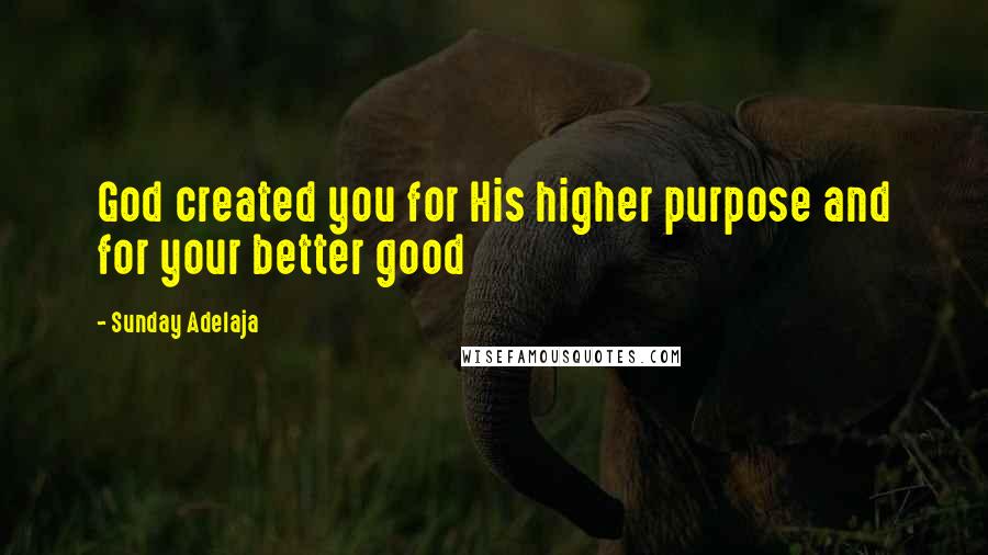 Sunday Adelaja Quotes: God created you for His higher purpose and for your better good