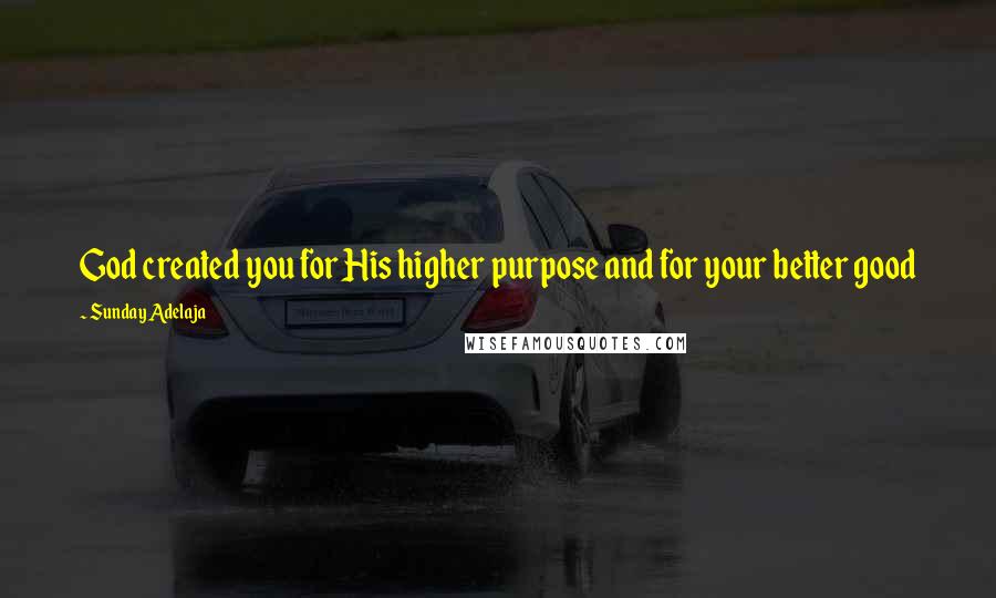 Sunday Adelaja Quotes: God created you for His higher purpose and for your better good