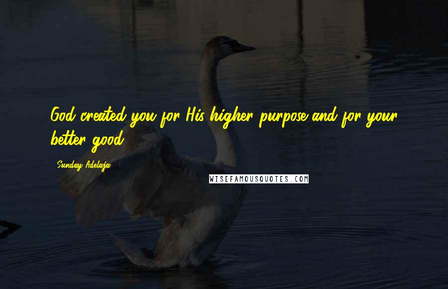 Sunday Adelaja Quotes: God created you for His higher purpose and for your better good