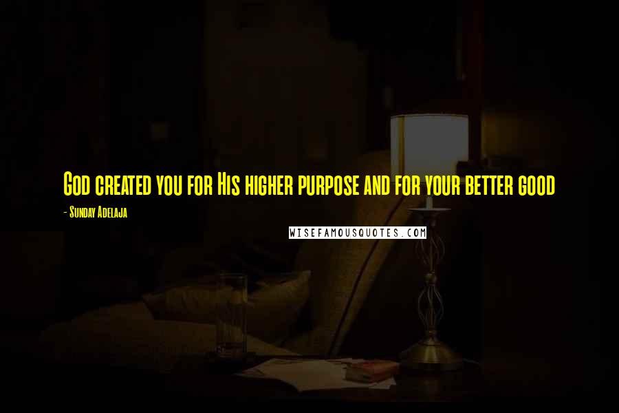 Sunday Adelaja Quotes: God created you for His higher purpose and for your better good