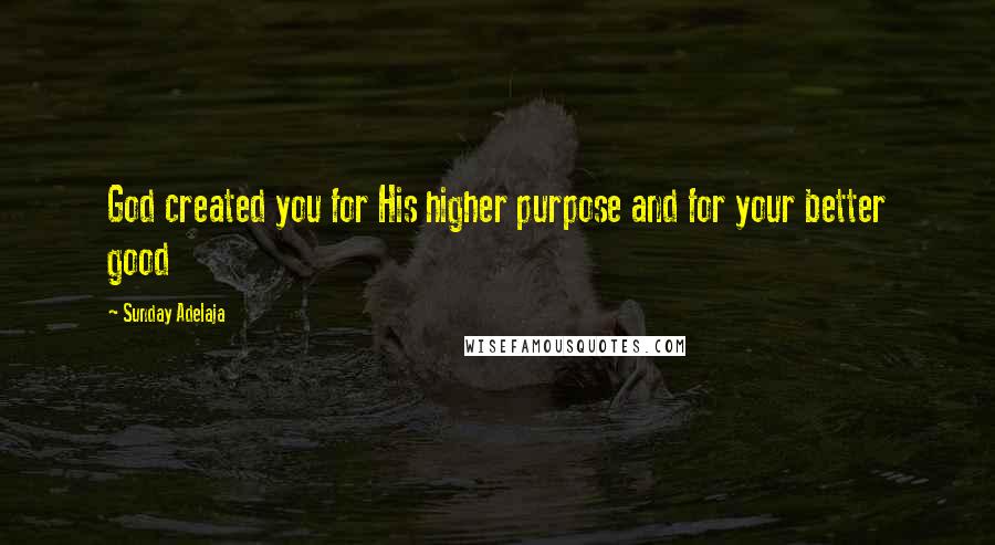 Sunday Adelaja Quotes: God created you for His higher purpose and for your better good