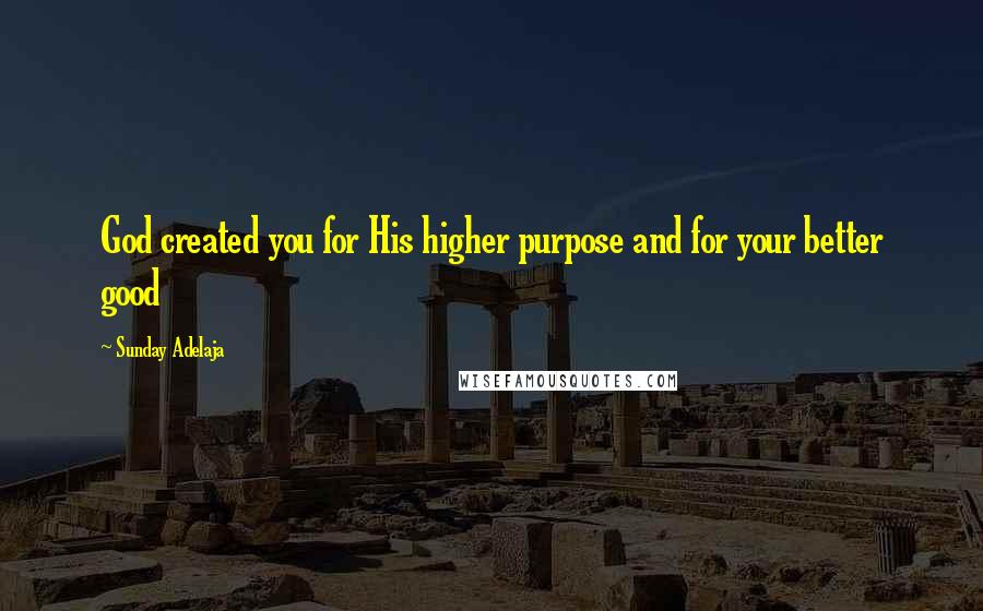 Sunday Adelaja Quotes: God created you for His higher purpose and for your better good