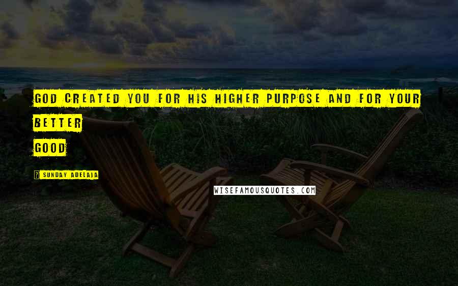 Sunday Adelaja Quotes: God created you for His higher purpose and for your better good