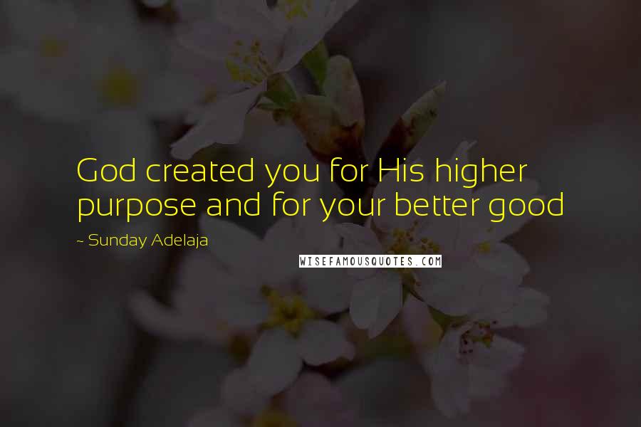 Sunday Adelaja Quotes: God created you for His higher purpose and for your better good