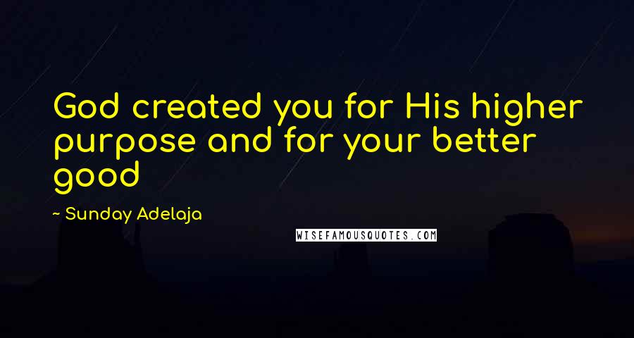 Sunday Adelaja Quotes: God created you for His higher purpose and for your better good