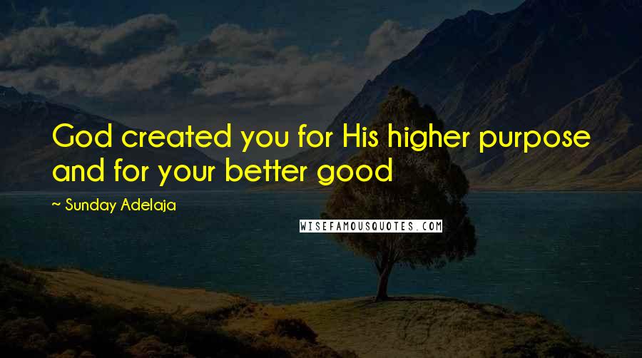 Sunday Adelaja Quotes: God created you for His higher purpose and for your better good