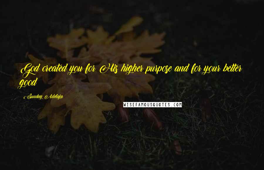 Sunday Adelaja Quotes: God created you for His higher purpose and for your better good