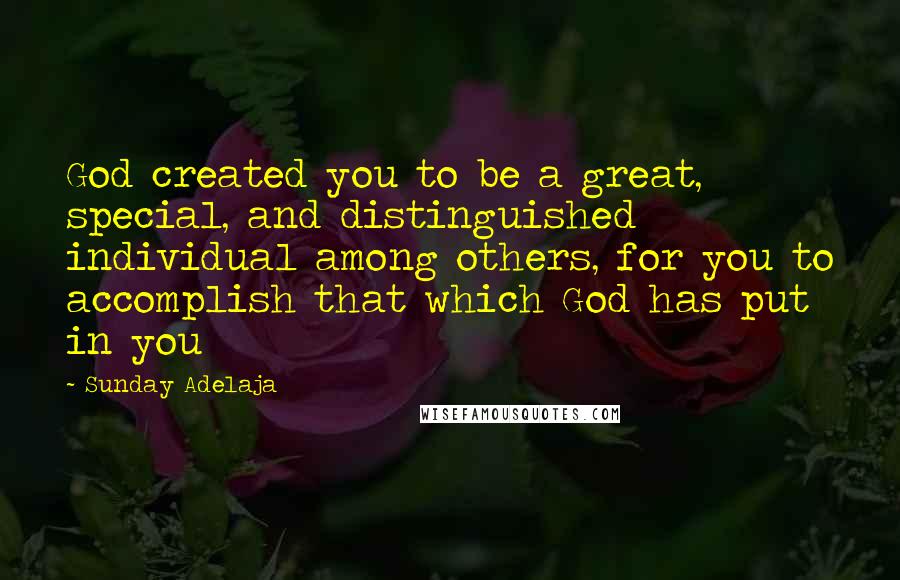 Sunday Adelaja Quotes: God created you to be a great, special, and distinguished individual among others, for you to accomplish that which God has put in you