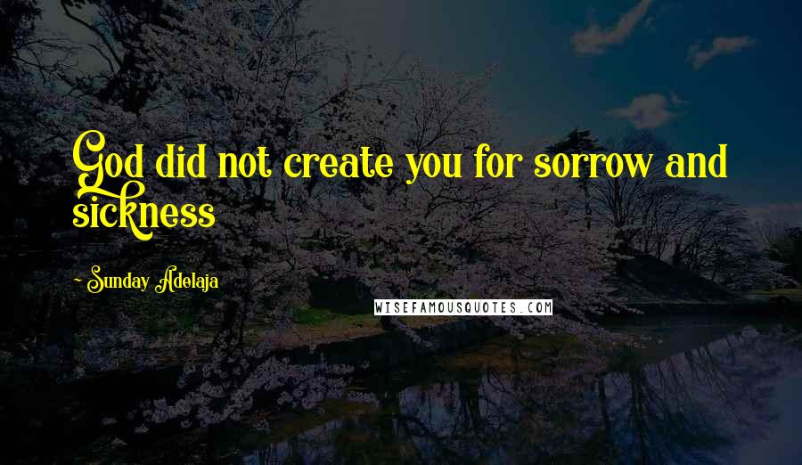 Sunday Adelaja Quotes: God did not create you for sorrow and sickness