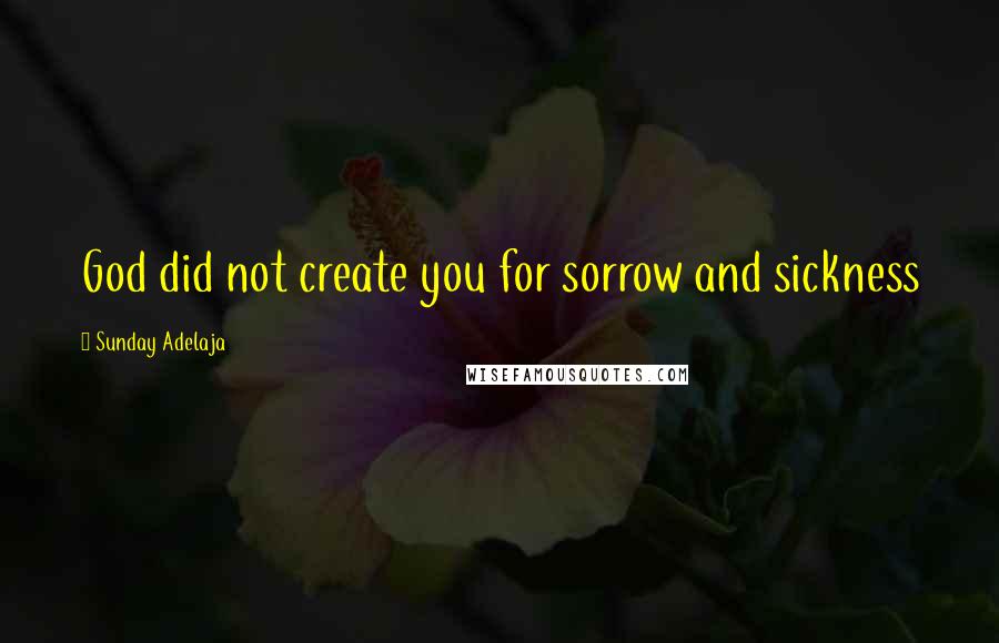 Sunday Adelaja Quotes: God did not create you for sorrow and sickness