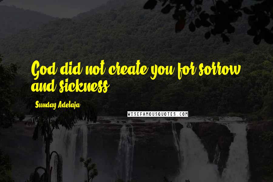 Sunday Adelaja Quotes: God did not create you for sorrow and sickness