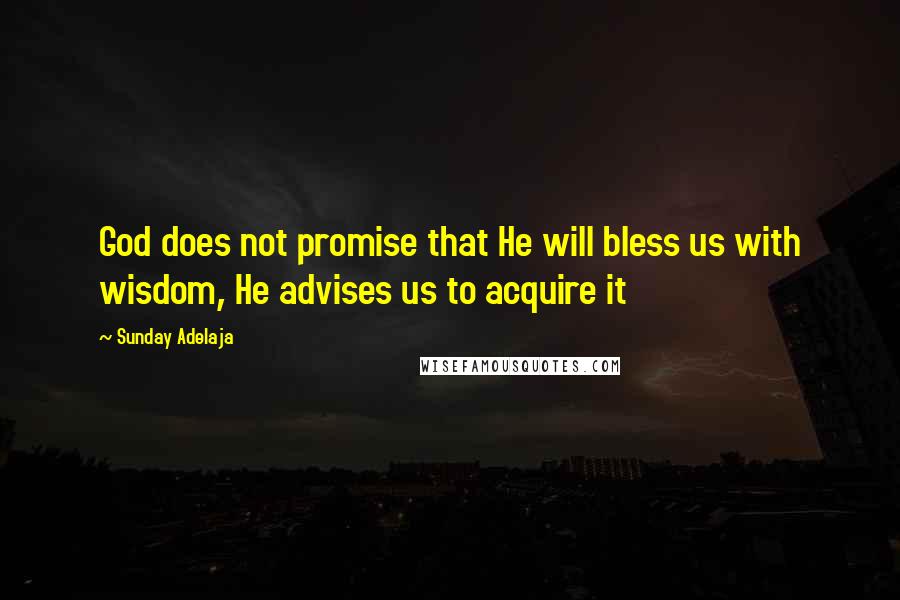 Sunday Adelaja Quotes: God does not promise that He will bless us with wisdom, He advises us to acquire it