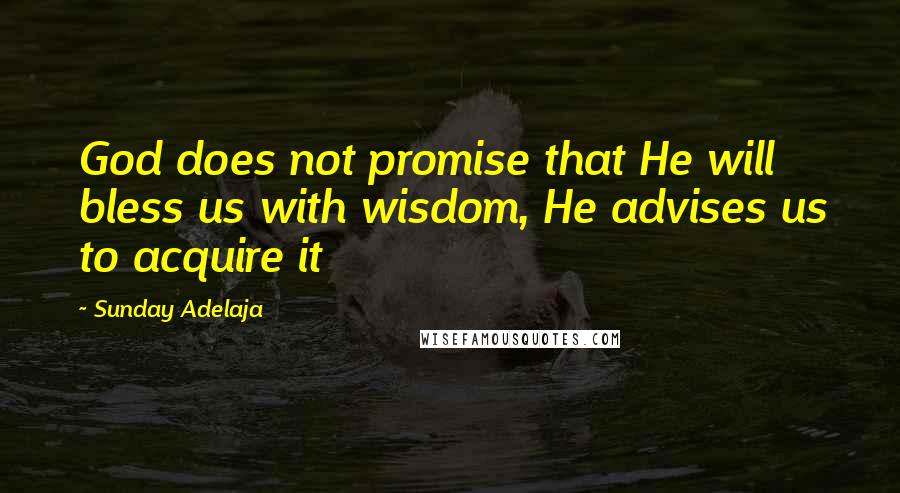 Sunday Adelaja Quotes: God does not promise that He will bless us with wisdom, He advises us to acquire it