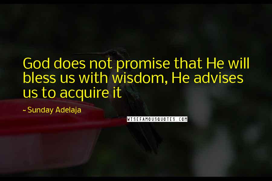 Sunday Adelaja Quotes: God does not promise that He will bless us with wisdom, He advises us to acquire it