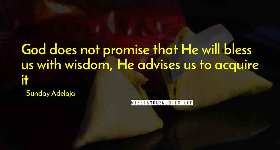 Sunday Adelaja Quotes: God does not promise that He will bless us with wisdom, He advises us to acquire it