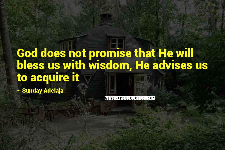Sunday Adelaja Quotes: God does not promise that He will bless us with wisdom, He advises us to acquire it