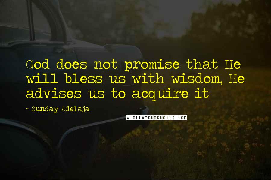 Sunday Adelaja Quotes: God does not promise that He will bless us with wisdom, He advises us to acquire it