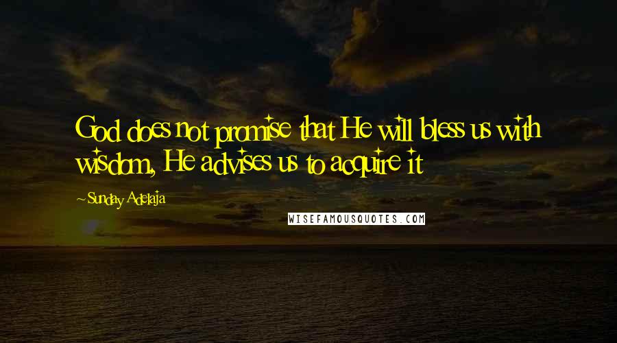 Sunday Adelaja Quotes: God does not promise that He will bless us with wisdom, He advises us to acquire it
