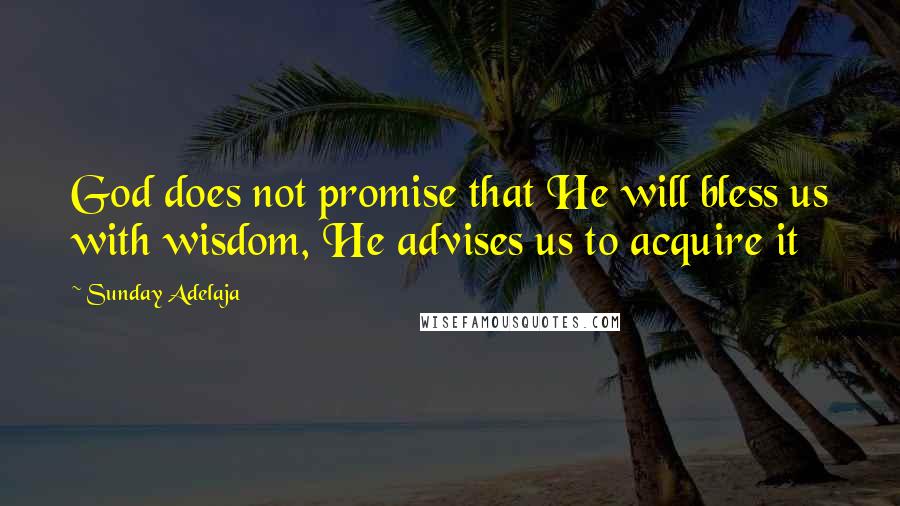 Sunday Adelaja Quotes: God does not promise that He will bless us with wisdom, He advises us to acquire it