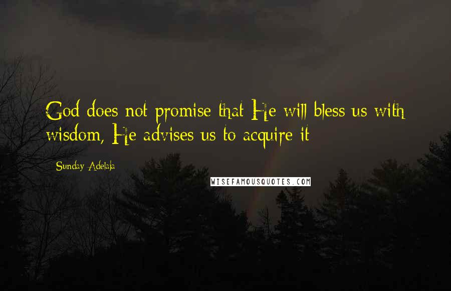 Sunday Adelaja Quotes: God does not promise that He will bless us with wisdom, He advises us to acquire it