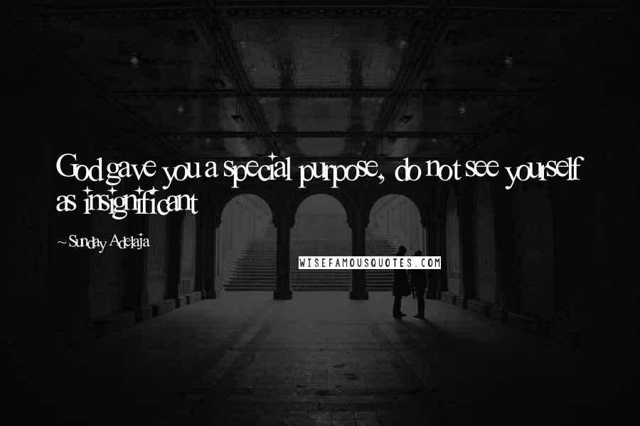 Sunday Adelaja Quotes: God gave you a special purpose, do not see yourself as insignificant