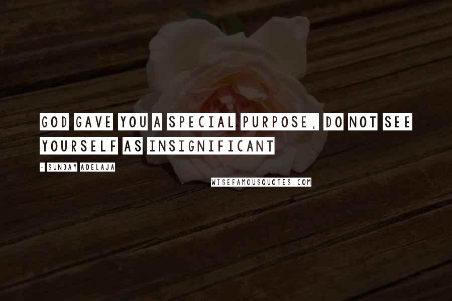 Sunday Adelaja Quotes: God gave you a special purpose, do not see yourself as insignificant