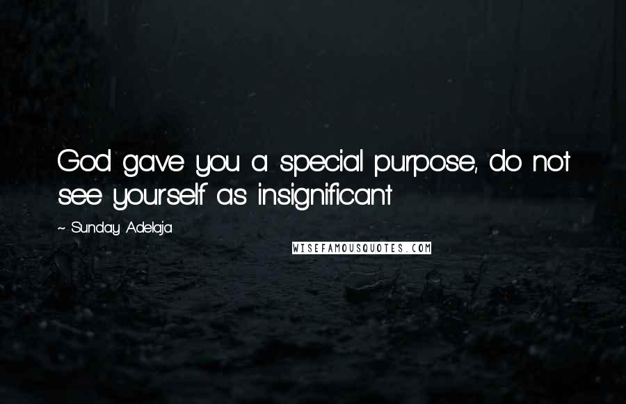Sunday Adelaja Quotes: God gave you a special purpose, do not see yourself as insignificant