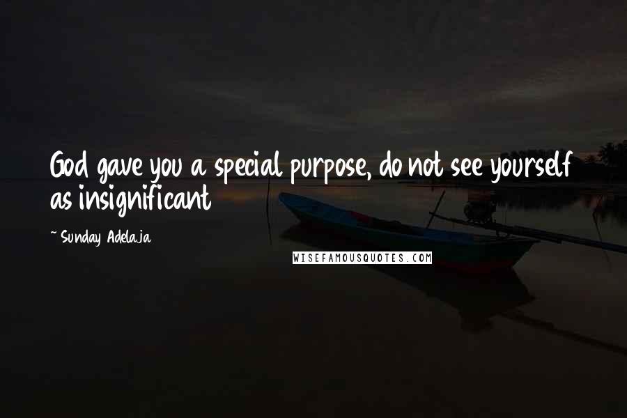 Sunday Adelaja Quotes: God gave you a special purpose, do not see yourself as insignificant
