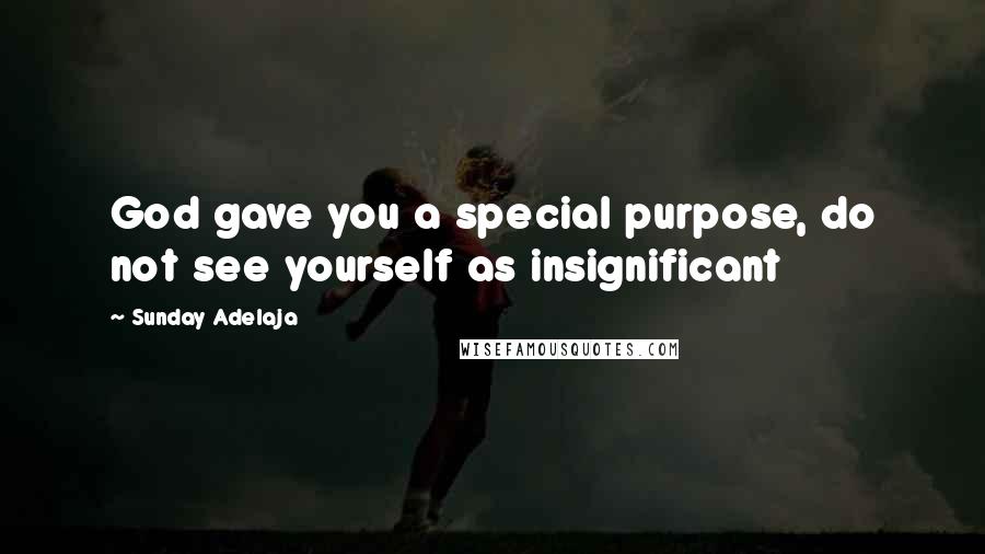 Sunday Adelaja Quotes: God gave you a special purpose, do not see yourself as insignificant