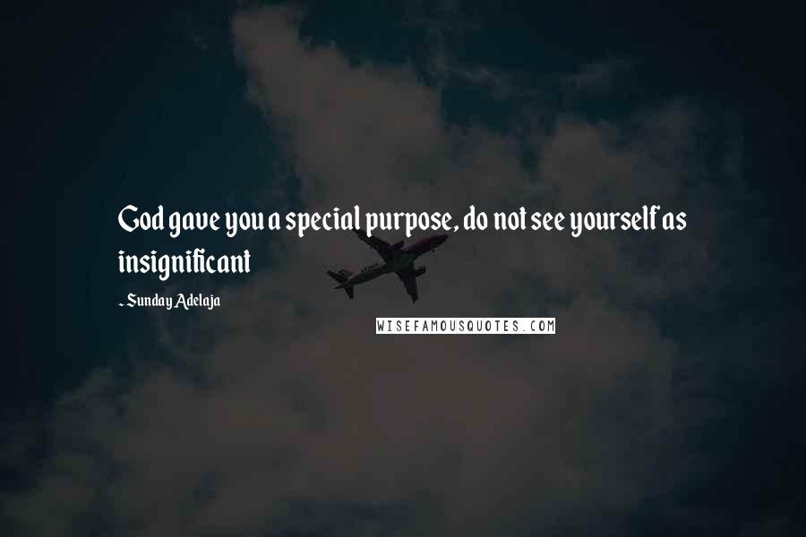 Sunday Adelaja Quotes: God gave you a special purpose, do not see yourself as insignificant