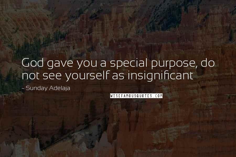 Sunday Adelaja Quotes: God gave you a special purpose, do not see yourself as insignificant