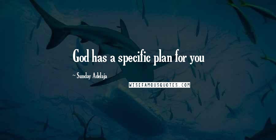 Sunday Adelaja Quotes: God has a specific plan for you