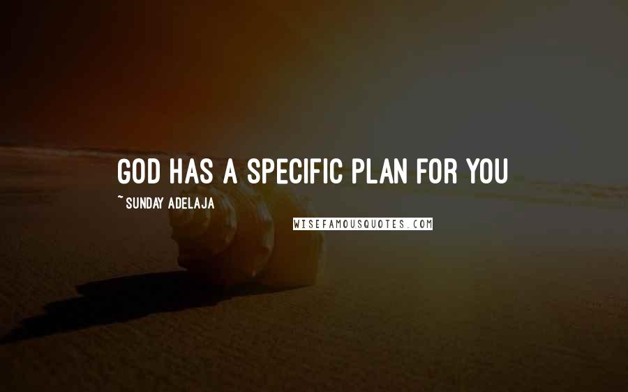 Sunday Adelaja Quotes: God has a specific plan for you