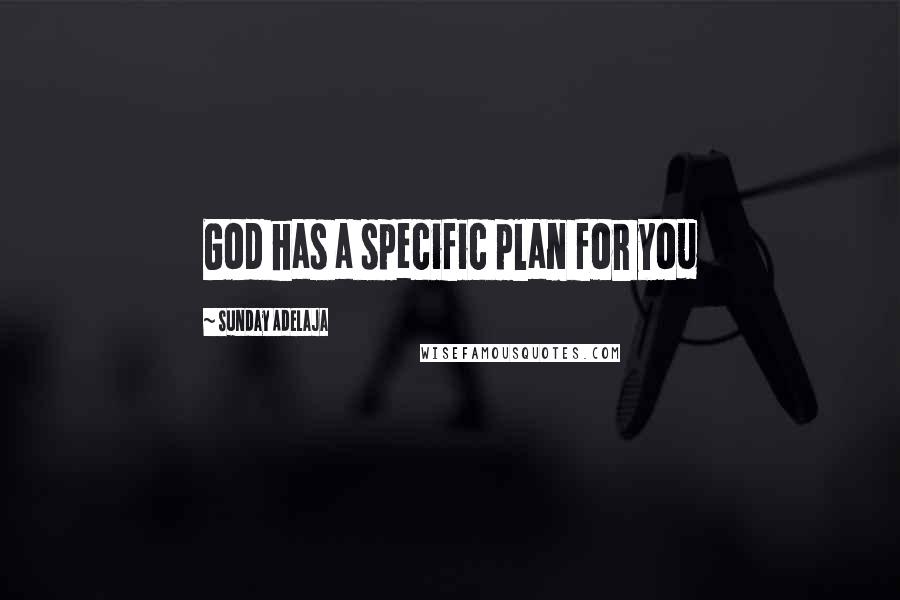 Sunday Adelaja Quotes: God has a specific plan for you